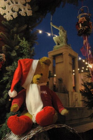 Das Foto zeigt im Vordergrund einen Plüschbären und im Hintergrund den Großenhainer Weihnachtsmarkt.