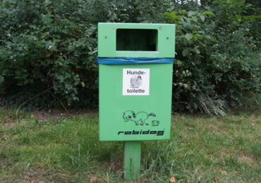 Das Foto zeigt eine grüne Hundetoilette.