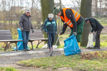 Das Foto zeigt vier Menschen, die Müll aus einer Grünanlage einsammeln.