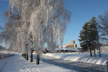 Das Foto zeigt eine verschneite Winterlandschaft. Im Hintergrund sieht man das Kulturschloss Großenhain. Dies ist ein großes Gebäude.